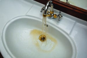 Sink with dirty water.